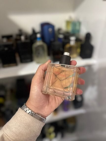 Hermès Terre d'Hermès EDT